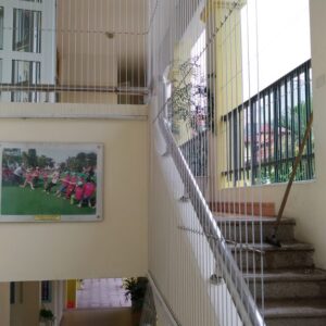 Lưới An Toàn Cầu Thang Trường Học