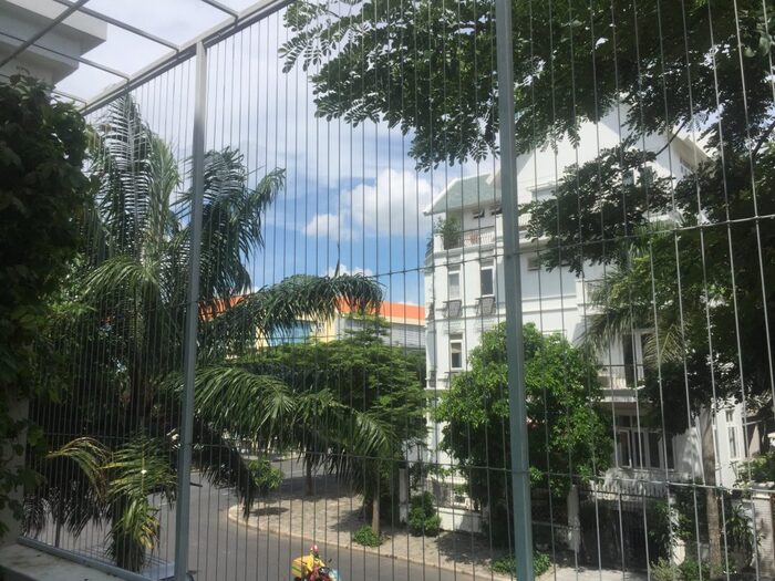 Lưới an toàn