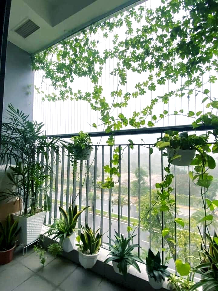luoi-an-toan-nha-pho-10