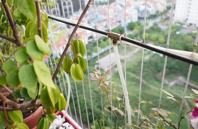 luoi-an-toan-nha-pho-11